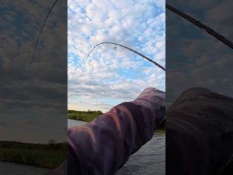 #azura #kenshin #спінінг #fishing