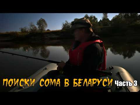 СОМ в Беларуси. Часть 3: Рыбалка на Припяти / Ловля сплавом, квок, донка. #сом СОМ в Беларуси. Часть 3: Рыбалка на Припяти / Ловля сплавом, квок, донка. #сом
