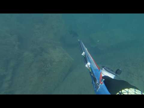 Вертикальная атака / Подводная охота