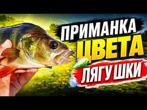 ПРИМАНКА ЦВЕТА ЛЯГУШКИ СПАСЛА РЫБАЛКУ. Первый ремонт в лодке "Салют 480"