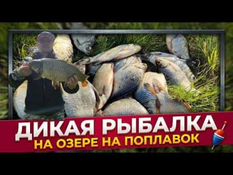 ТАКОГО СПАСЕНИЯ РЫБАЛКИ МЫ НЕ ЖДАЛИ! ДИКОЕ ОЗЕРО УТЕРЛО НОС ПЛАТНИКУ 