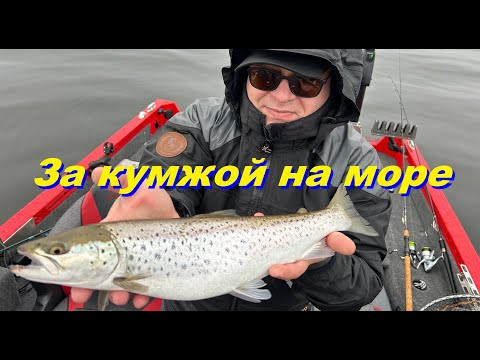 За кумжой на море