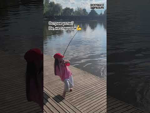 Зачетный СОМ припаркован
