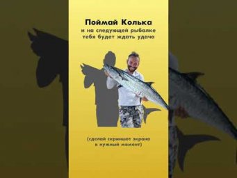 Получилось?)