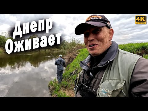 Днепр живой. Рыбалка на спиннинг с берега Днепр живой. Рыбалка на спиннинг с берега