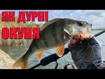 ПОМИЛКИ ПРИ ловлі ОКУНЯ! ОТ ЦЕ ТАК РИБАЛКА Рибалка в жовтні