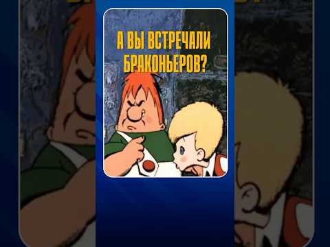 А вы встречали браконьеров? Как на них реагировать?