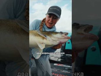 Синхронный клев судака! #hotspotzander