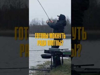 А вы готовы мокнуть ради плотвы? ☔