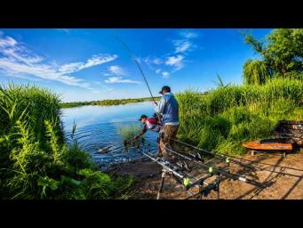 Біля ЧЕРКАС є НЕВІДОМА ВОДОЙМА де клюють КОРОПИ, Рибалка на коропа біля дома