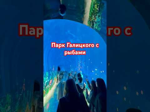 Аквариум парк Галицкого. Супер локация для прогулки и просмотра китов и другой рыбы Аквариум парк Галицкого. Супер локация для прогулки и просмотра китов и другой рыбы