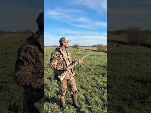Правила охоты нужно соблюдать! #hunting #весенняяохота #охотанагуся #охота