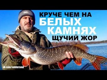 КРУЧЕ ЧЕМ НА БЕЛЫХ КАМНЯХ! Щучий ЖОР - ЛОВЛЯ ЩУКИ НА СПИННИНГ. Джиг. СУПЕР РЫБАЛКА!