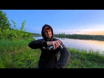 Ловля Хижака на Десні: Вечірній Вихід та Шалені Комарі