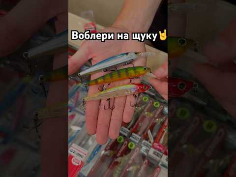 photo photo