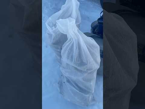 Сумасшедший клев! Рыбалка на двое суток одни в заливе. Сумасшедший клев! Рыбалка на двое суток одни в заливе.