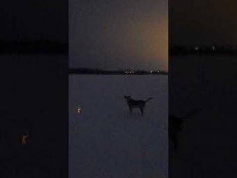 Этот ГИД так рыбы и не нашел