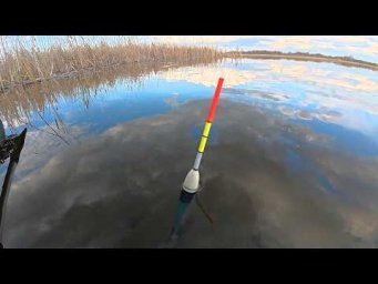 Забросил поплавок под камыш, а там карась, лещ, плотва, густера. Рыбалка на маховую удочку.