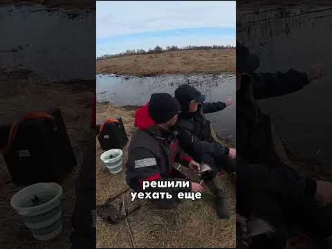 День 22✅ Весенний карась на новые #MAXALKA