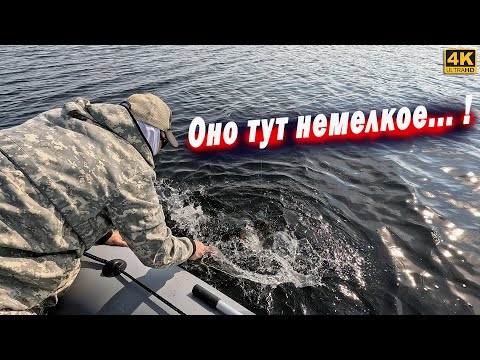 Оно тут немелкое. ЩУКА на спиннинг с лодки 2025 Оно тут немелкое. ЩУКА на спиннинг с лодки 2025