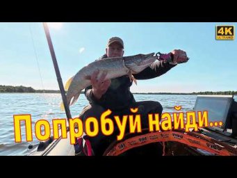 Garmin Panoptix против щуки: озеро Блюдце, попытка №2