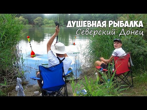 Душевная ловля на фидер в дождь! РЫБАЛКА на Северском Донце донной снастью Душевная ловля на фидер в дождь! РЫБАЛКА на Северском Донце донной снастью