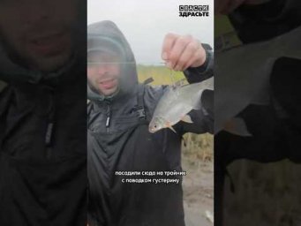 Поймаем ли ЩУКУ на хитрую оснастку❓