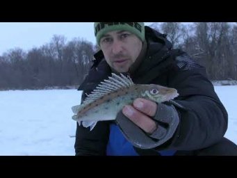 Дороги Замело, Але Рибалка Продовжується. Донки і Жерлиці