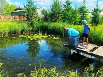 ВОДА КИПИТ ОТ РЫБЫ! запускаем карпа в пруд на даче
