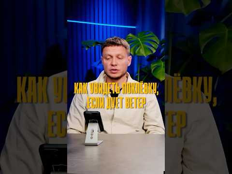 Как не пропустить поклёвку, когда вершинку мотает ветром? Как не пропустить поклёвку, когда вершинку мотает ветром?