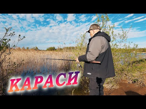 СНОВА КАРАСИ. Поплавочная рыбалка в апреле 2024 СНОВА КАРАСИ. Поплавочная рыбалка в апреле 2024