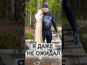 Адреналин всё ещё здесь 