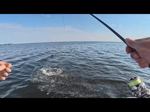 !!! Хто не ВІРИВ той ПОВІРИТЬ !!! МАМОЧКИ КЛЮЮТЬ, Рибалка на ХИЖАКА !!! Хто не ВІРИВ той ПОВІРИТЬ !!! МАМОЧКИ КЛЮЮТЬ, Рибалка на ХИЖАКА
