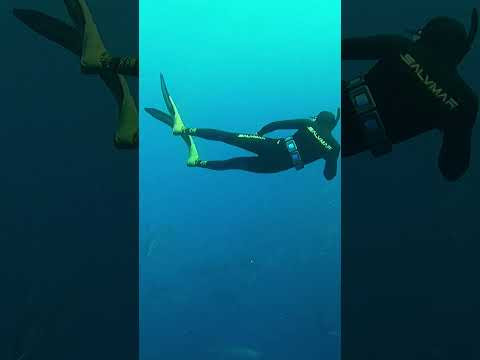 Подводная охота в Турции Подводная охота в Турции
