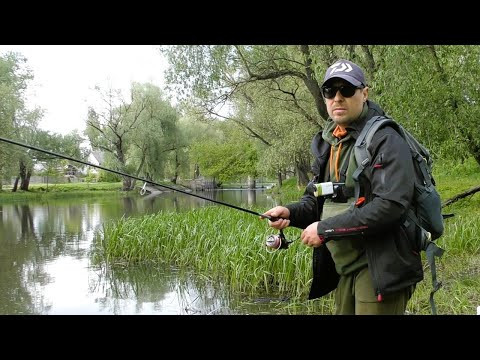 Знайшов Хрущів. Риболовля на Головня. Щука на Блешню