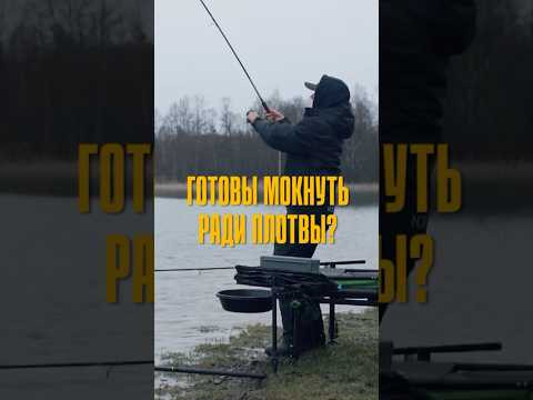 А вы готовы мокнуть ради плотвы? ☔