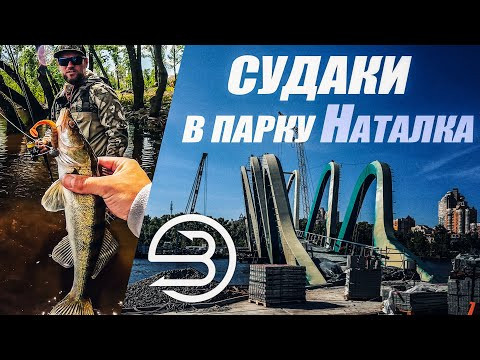 Судаки роздають в Київському парку. Як зловити судака в міських умовах. Судаки роздають в Київському парку. Як зловити судака в міських умовах.