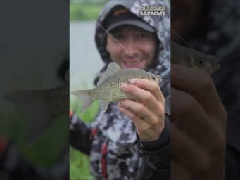О чем вы думаете на рыбалке❓