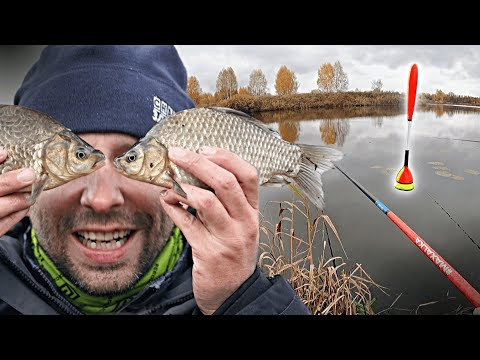 Здесь ещё КЛЮЕТ КАРАСЬ! Рыбалка на поплавок поздней ОСЕНЬЮ Здесь ещё КЛЮЕТ КАРАСЬ! Рыбалка на поплавок поздней ОСЕНЬЮ