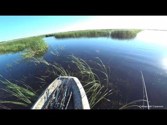 Рыба кипит. Поклевка на каждом забросе. Рыбалка в Сибири.