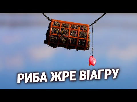 Ловля фідером на дикій річці. ВІАГРА / ЇЖАК / ТОРБА Ловля фідером на дикій річці. ВІАГРА / ЇЖАК / ТОРБА