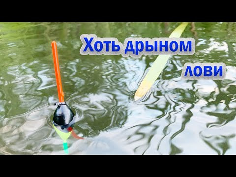 ОКУШОК на ГОРЧАЧОК  Лучше не придумать.