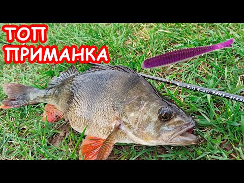 НОВАЯ ПРИМАНКА ДЛЯ МИКРОДЖИГА. ЩУКА И ОКУНЬ НА СПИННИНГ НОВАЯ ПРИМАНКА ДЛЯ МИКРОДЖИГА. ЩУКА И ОКУНЬ НА СПИННИНГ