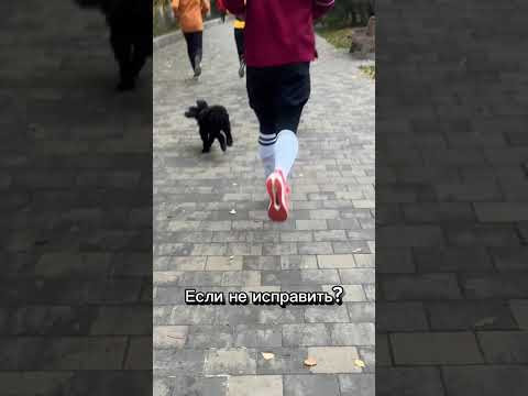 При беге левая стопа ЗАВАЛИВАЕТСЯ! Можно исправить с помощью упражнений. Каких?Пиши в личку #бег