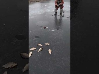 Ще ПІКСІКИ не обсохли )))) #shorts #рибалка #карась