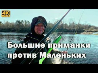 Какую приманку выбрать весной? Большие vs маленьких!