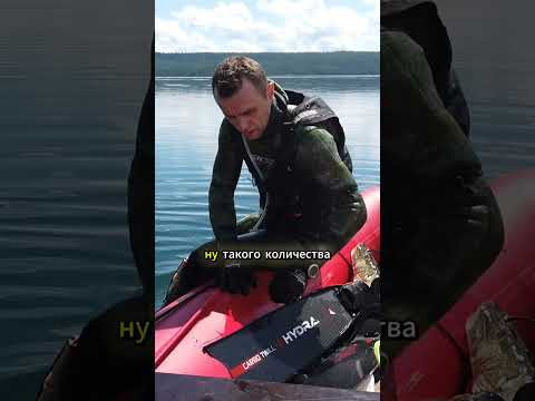 Рай для ПОДВОХА найден Рай для ПОДВОХА найден