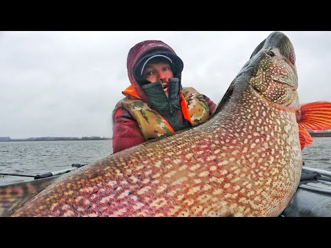 Я НЕ ВЕРЮ В ЭТО! ПЕРВЫЙ ЛЁД  НЕ НУЖЕН! САМЫЕ БОЛЬШИЕ ЩУКОМОНСТРЫ ЖИЗНИ! 15, 13 кг и БОЛЕЕ!
