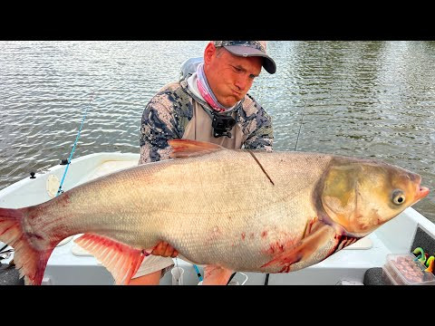 КЛЮНУЛ МОНСТР! КЛЁВ ВЕЗДЕ, ВСЕГО и СРАЗУ! САЗАН, ЖЕРЕХ и СОМ! Рыбалка в Астрахани  с сыном 2