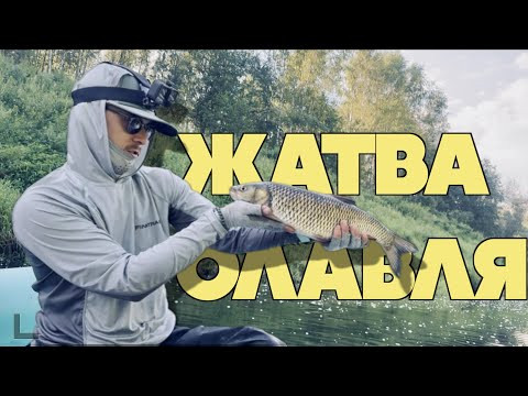 ЖОР, который бывает раз в жизни! Невероятный выход голавля ЖОР, который бывает раз в жизни! Невероятный выход голавля
